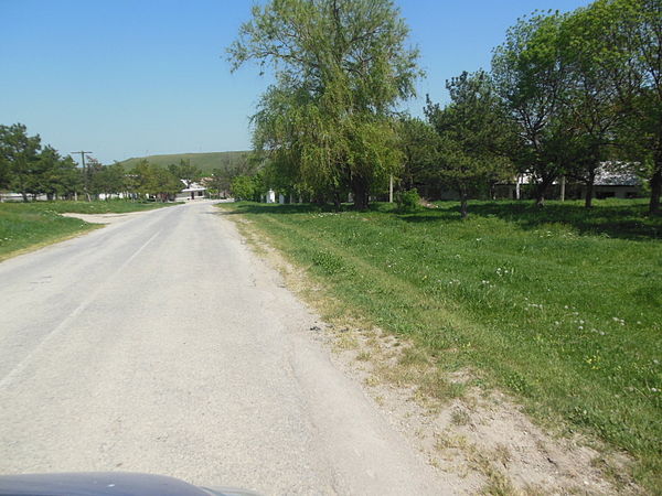 Александровка пункт. Село Александровка Белогорский район Крым. Село Новокленово Крым. Село Зеленогорское Крым Белогорский район. Сельское поселение Белогорский район Крым.