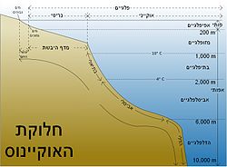 אוקיינוגרפיה: התפתחות המחקר האוקיינוגרפי, מבנה האוקיינוסים, תחומי מחקר