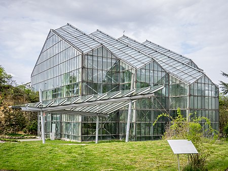 Osnabrück Botanischer Garten Tropenhaus 02
