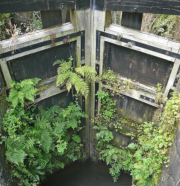 File:Overgrown lock, Huddersfield Narrow Canal (3941403879).jpg