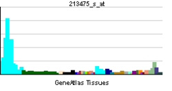 PBB GE ITGAL 213475 s at tn.png