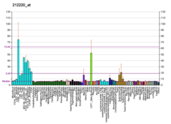 PBB GE PSME4 212220 di fs.png