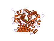 2foz: ADP-ribosylhydrolase 3 người