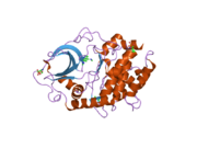 2uvy: STRUCTURE OF PKA-PKB CHIMERA COMPLEXED WITH METHYL-(4-(9H-PURIN-6-YL)-BENZYL)-AMINE