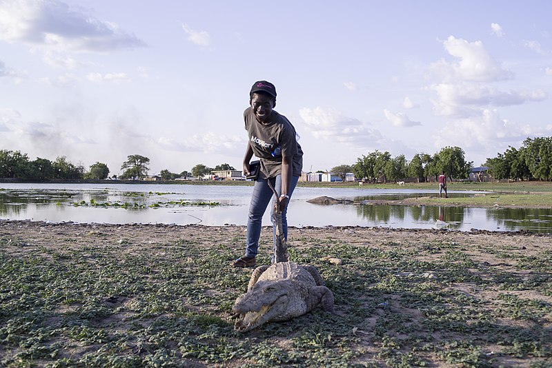 File:Paga Crocodile pond.jpg