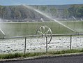 Wheel line irrigation in Panguitch, Utah