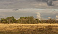 Panorama van de open vlakte. Locatie, natuurgebied Delleboersterheide – Catspoele.