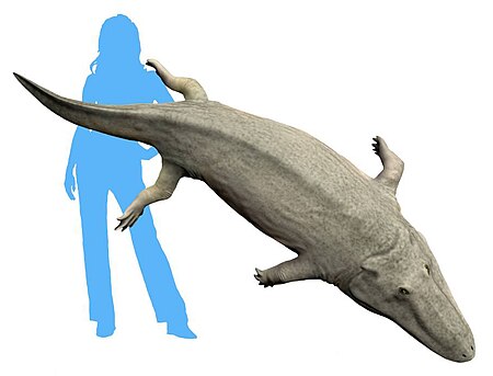 Tập_tin:Paracyclotosaurus_crookshanki_life_restoration.jpg