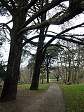 Vignette pour Parc du Brûlet