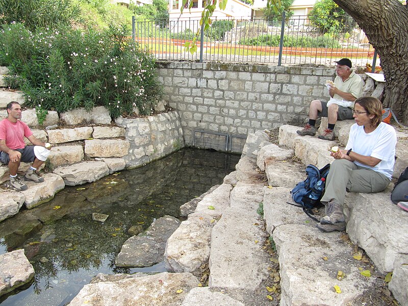 File:Park HaAmakim 36.jpg