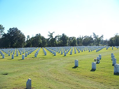 How to get to Barrancas National Cemetery with public transit - About the place