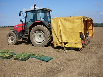 Massey Ferguson MF 6265 hinter Pflanzmaschine