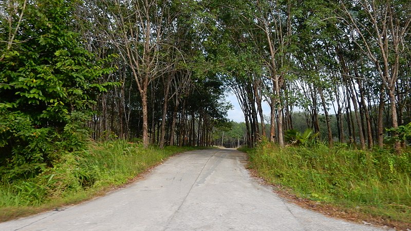 File:Phang-nga 2014 December - panoramio (2).jpg