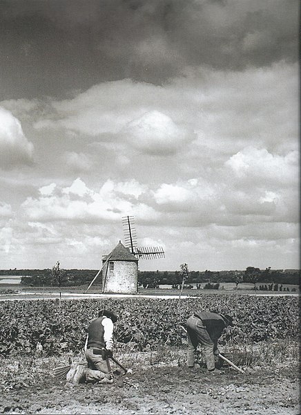 File:Philippe Tassier Clohars-Carnoët Moulin de Keranquernat.jpg