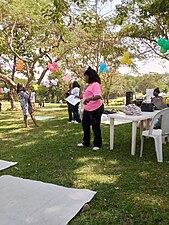 Picnic in Millennium Park,Abuja