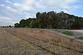 County of Chandos Cadastral in South Australia