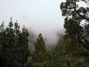 Barlovento, La Palma