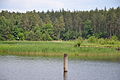 Poland-Belarus border in Rudawka (Augustów Canal).JPG