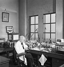 Fleming in his laboratory in 1943 Professor Alexander Fleming at work in his laboratory at St Mary's Hospital, London, during the Second World War. D17801.jpg