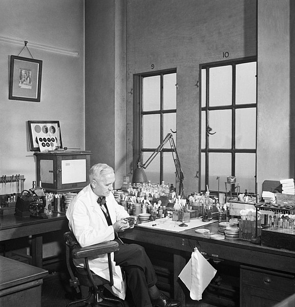 Fleming in his laboratory in 1943
