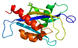 Ақуыз NUDT2 PDB 1xsa.png