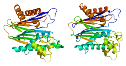 پروتئین PPM1B PDB 2p8e.png