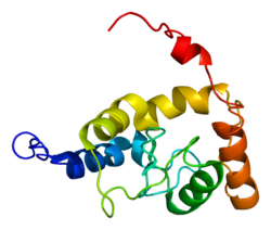 Ақуыз SMAP1 PDB 2crr.png