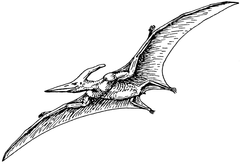 Pterosaurs PNG Image - PNG All