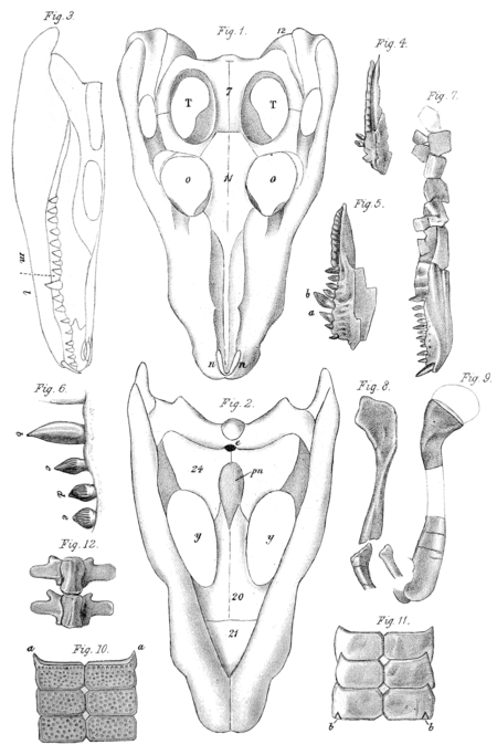 Quarterly Journal of the Geological Society of London, Volume 35, 0205.png