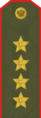 Forças Terrestres da Federação Russa (Generál Ármii)