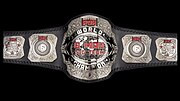 Thumbnail for ROH World Six-Man Tag Team Championship