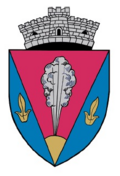 Wappen von Bârghiș