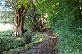 Path in Southern Limburgian Ravensbos