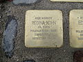 image=File:Regina Kohn Stolperstein Dresden.JPG