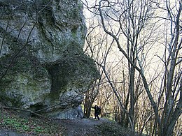 Rezerwat Zimny Dół a3.jpg