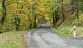 * Nomination Road D22 near Nauviale, Aveyron, France. (By Tournasol7 --Sebring12Hrs 14:53, 12 December 2020 (UTC) * Promotion  Support Good quality. --Ermell 21:37, 12 December 2020 (UTC)