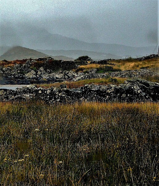 File:Rocky shore and moorland by R340 - geograph.org.uk - 5986748.jpg