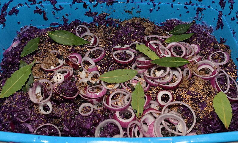 File:Rotkohl (Uchtelfangen) 2023-11-25 (01).jpg