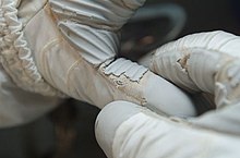 Mastracchio's damaged glove. STS-118 glove damage.jpg