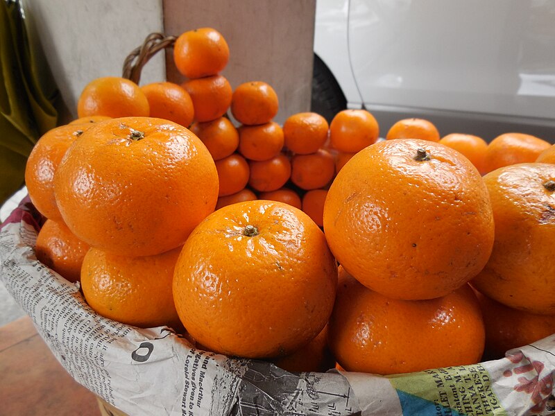File:Sagada Oranges.jpg