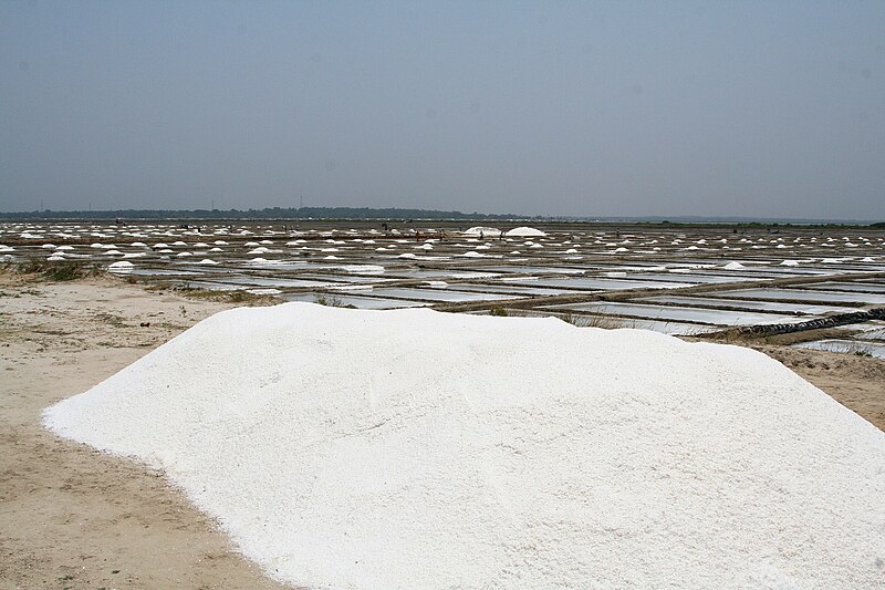 File:Salt Works India.jpg