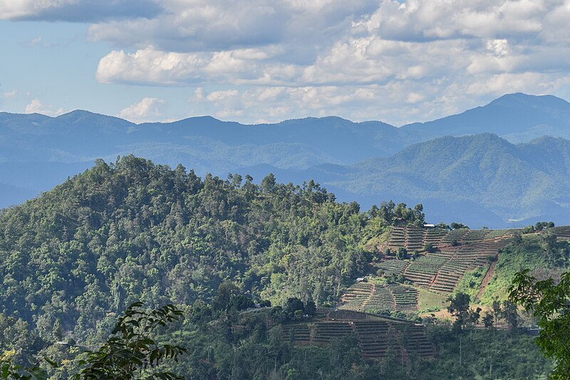 File:Samdeng Forest in Chiang Mai Province 07.jpg