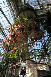 Palmenhaus