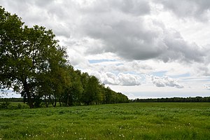 Schleswig-Holstein, Moordiek, Auufer, FFH-Gebiet Moore der Breitenburger Niederung NIK 4365.JPG