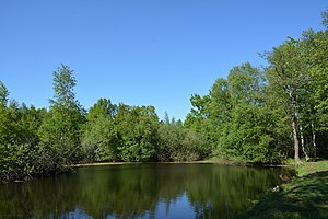 Schleswig-Holstein, Tellingstedt, Landschaftsschutzgebiet Großes Moor Kätner Moor NIK 7096.jpg