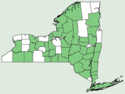 Scrophularia lanceolata NY-dist-map.png