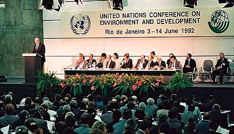 Conférence des Nations unies sur l'environnement et le développement