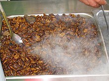 Beondegi, silkworm pupae steamed or boiled and seasoned for taste, for sale by a street vendor in South Korea Silkworm snack.jpg