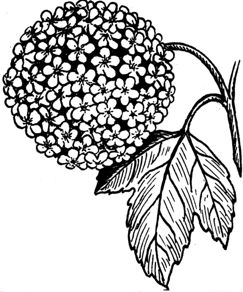 File:Snowball (PSF).png