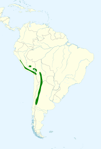Spinus crassirostris map.svg
